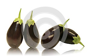 Four Baby Aubergine Eggplants