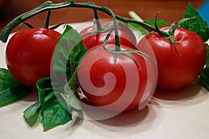 Four big dark red tomatoes on a green vine on a wooden table