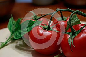 Four big red tomatoes on a green vine on a light wooden table