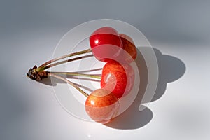 Four Bigarreau Cherries on White Background