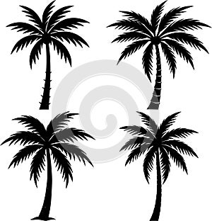 Four Black Palm Tree Silhouettes on White Background