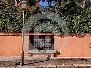 Four black stray cats on a bench in Rome, Italy. Stray cats in Rome. Stray cats in front of an orange wall. Cats relaxin on a