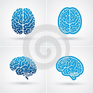 Four brain icons