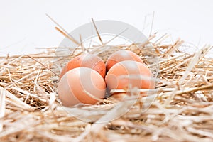 Four brown chicken eggs in the straw