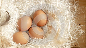 Four brown hen eggs and chicken feather on white paper in wooden basket, top view photo