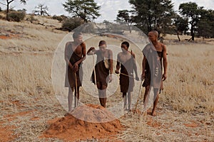 Four bushmen