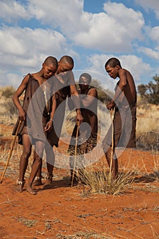 Four bushmen dancing