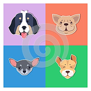 Four Canine Heads of Pedigreed Dogs Doggie Concept