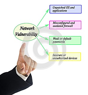 Causes of Network Vulnerability