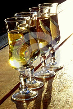 Four champagne wine glasses in the sunset light, celebration