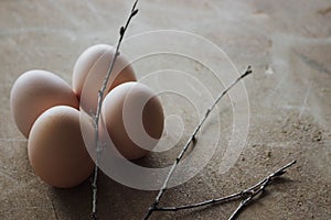 Four chicken organic eggs on wooden background. Spring raw fresh style