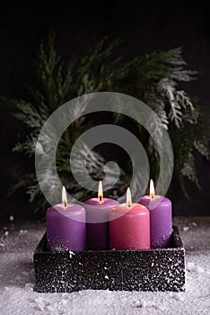 Four Christmas burning pink and purple advent candles