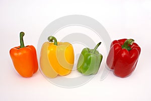 Four colorful paprica vegetables photo