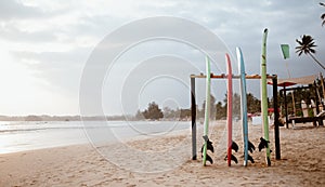 Four colorful surfboards standing on the sandy wide beach prepared for renting service, Weligama, Sri Lanka