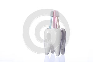 Four colorful toothbrushes in tooth-shaped container. White decorative tooth