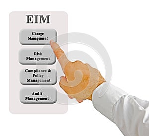 components of EIM Audit