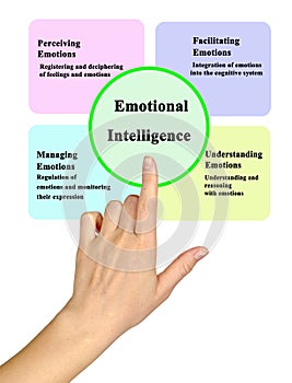 Components of Emotional Intelligence