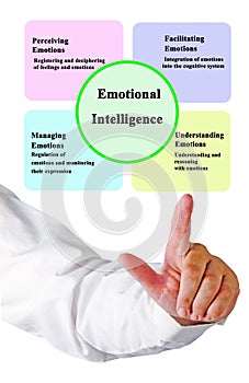 Components of Emotional Intelligence