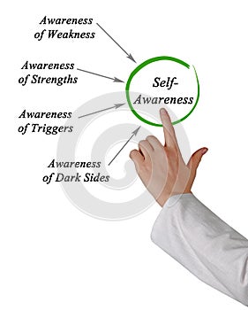 Four components of Self- Awareness