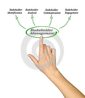 Components of Stakeholder Management