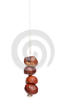 Four conkers on a string