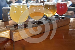 Craft Beer Sample Tasting Flight