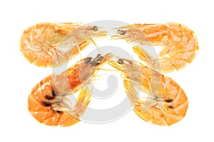 Four crevettes