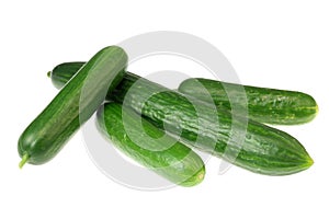 Four cucumbers on white. photo