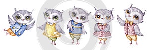 Four cute aquarelle owls, set in childish style