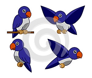 Four cute blue lovebird images.