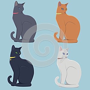 Four cute cats of different colors