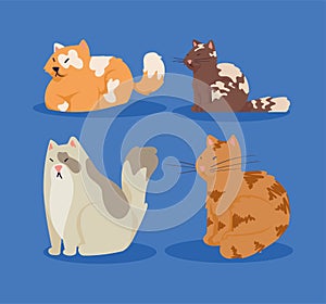 four cute cats mascots