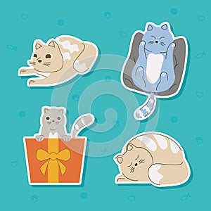 four cute little cats