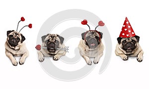 Four cute Valentine love pug puppy dogs, with hearts, hanging on white banner