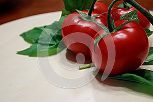 Four dark red tomatoes on a green vine on a light wooden table