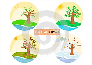 Four different season type round icons / simplistic drawings