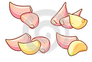 Four different sets of peeled and unpeeled raw garlic cloves isolated on white background.