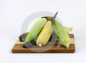 Four Ears Corn