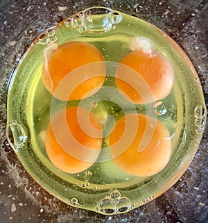 Four egg yolks