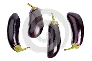 Four eggplant on white background close up isolated top view