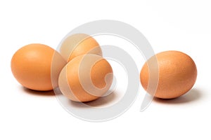 Four eggs on white background
