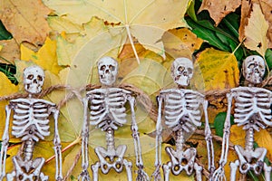 Four fake skeletons laying on the yellow autumn leaves and grass. Halloween decoration, scary theme