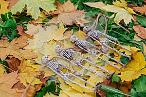 Four fake skeletons laying on the yellow autumn leaves and grass. Halloween decoration, scary theme