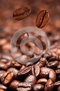 Four falling coffee beans