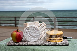 Four famous cheeses of Normandy, squared pont l`eveque, round camembert cow cheese, yellow livarot, heartshaped neufchatel and