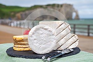 Four famous cheeses of Normandy, squared pont l`eveque, round camembert cow cheese, yellow livarot, heartshaped neufchatel and