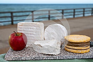 Four famous cheeses of Normandy, squared pont l`eveque, round camembert cow cheese, yellow livarot, heartshaped neufchatel and