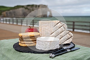 Four famous cheeses of Normandy, squared pont l`eveque, round camembert cow cheese, yellow livarot, heartshaped neufchatel and