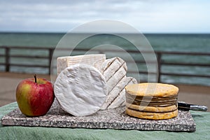 Four famous cheeses of Normandy, squared pont l`eveque, round camembert cow cheese, yellow livarot, heartshaped neufchatel and