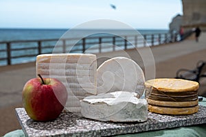 Four famous cheeses of Normandy, squared pont l`eveque, round camembert cow cheese, yellow livarot, heartshaped neufchatel and